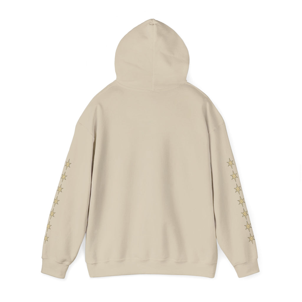 Vyorin Star Emblem Hoodie — Retro Sci‑Fi Logo Pullover