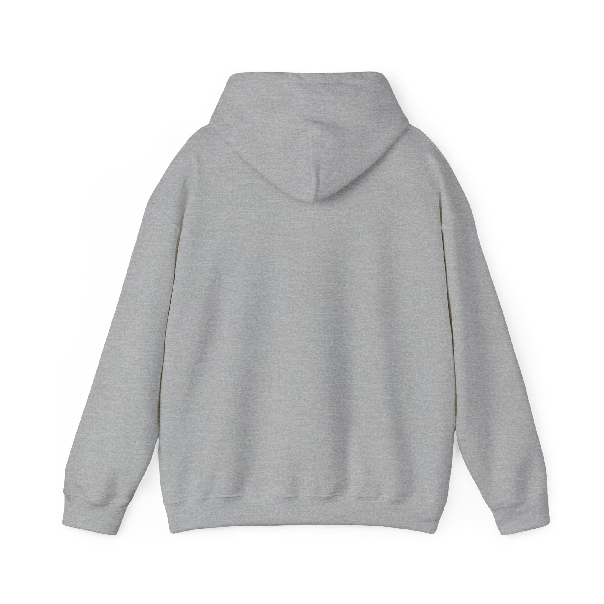 Vyorn Leopard Arch Hoodie — Vintage Animal Print Logo Sweatshirt
