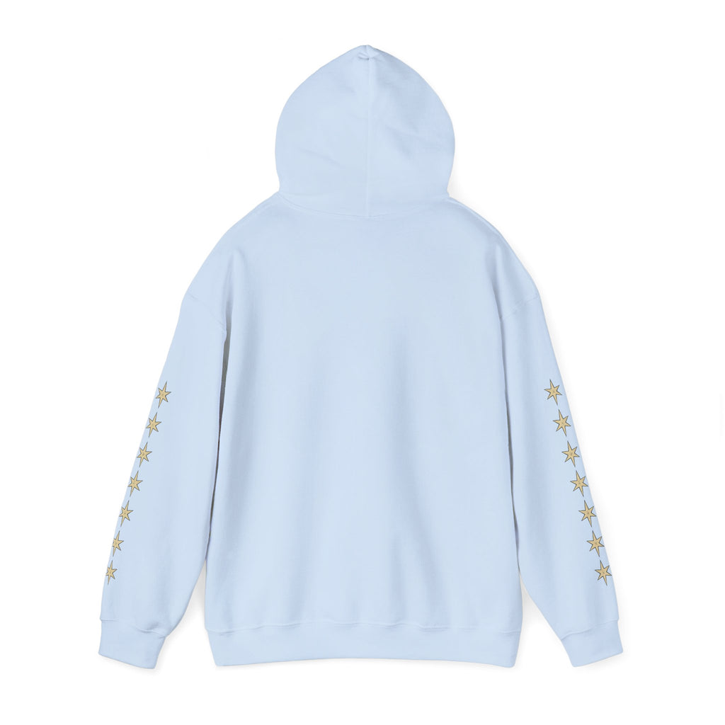 Vyorin Star Emblem Hoodie — Retro Sci‑Fi Logo Pullover