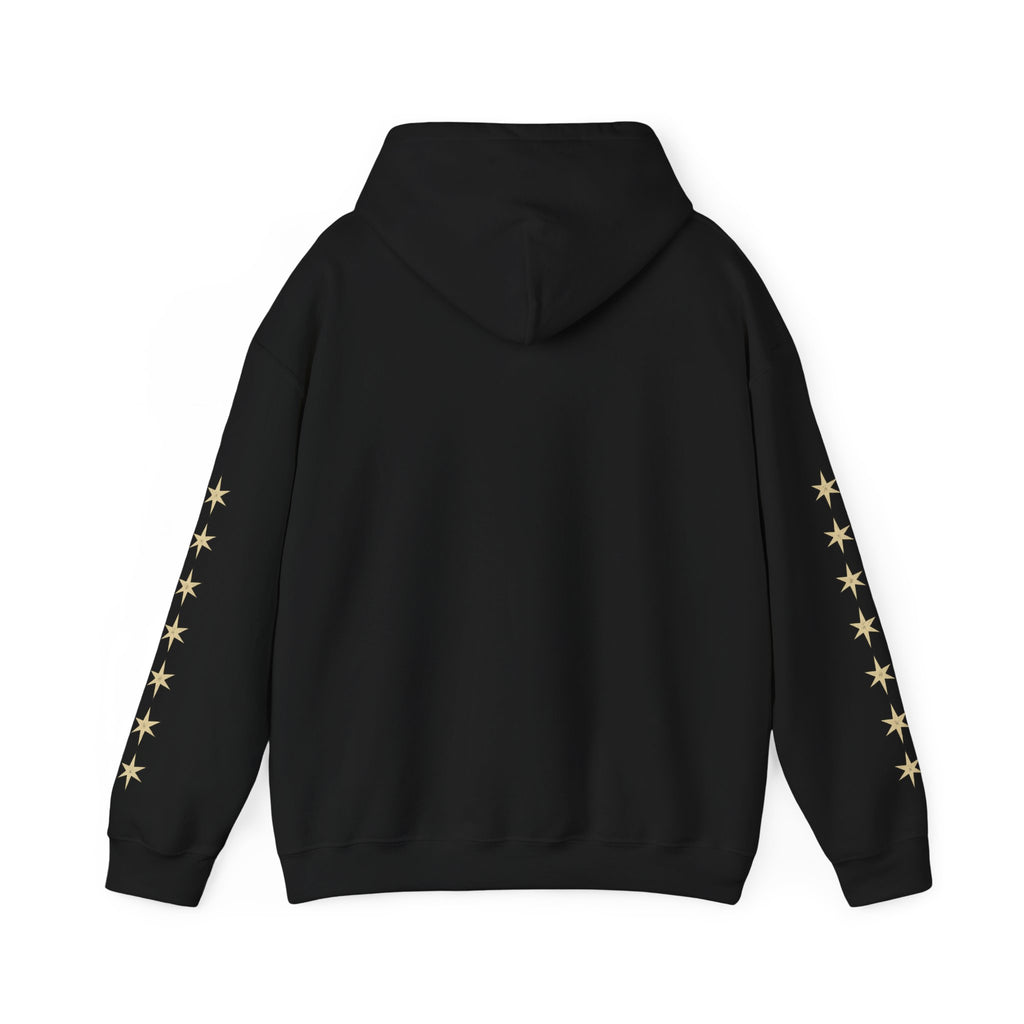 Vyorin Star Emblem Hoodie — Retro Sci‑Fi Logo Pullover