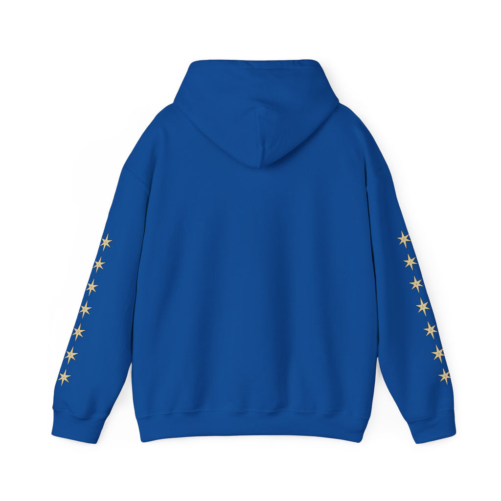 Vyorin Star Emblem Hoodie — Retro Sci‑Fi Logo Pullover