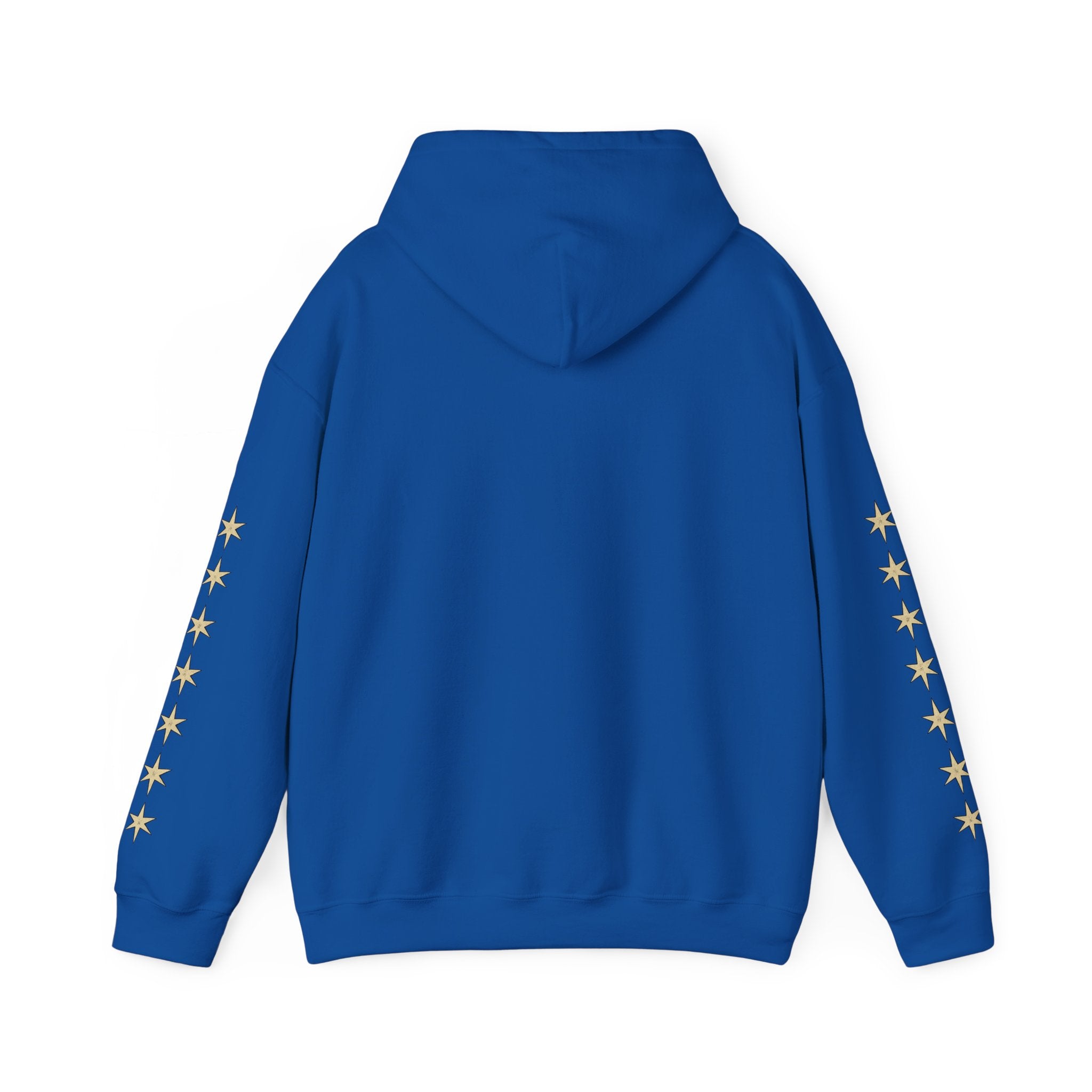 Vyorin Star Emblem Hoodie — Retro Sci‑Fi Logo Pullover