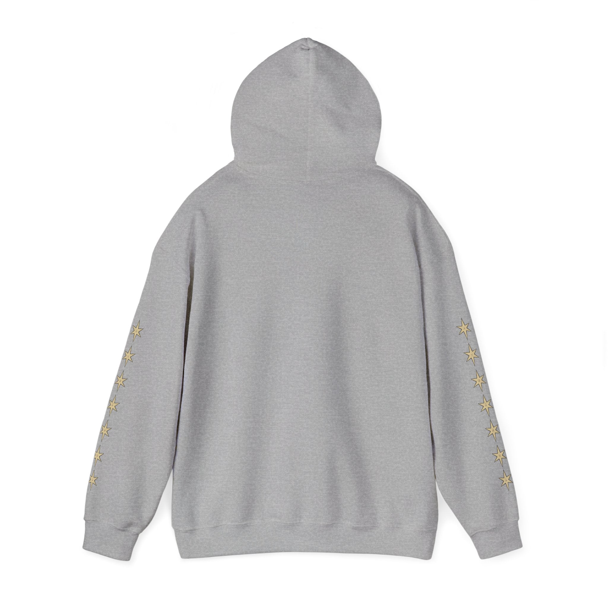 Vyorin Star Emblem Hoodie — Retro Sci‑Fi Logo Pullover
