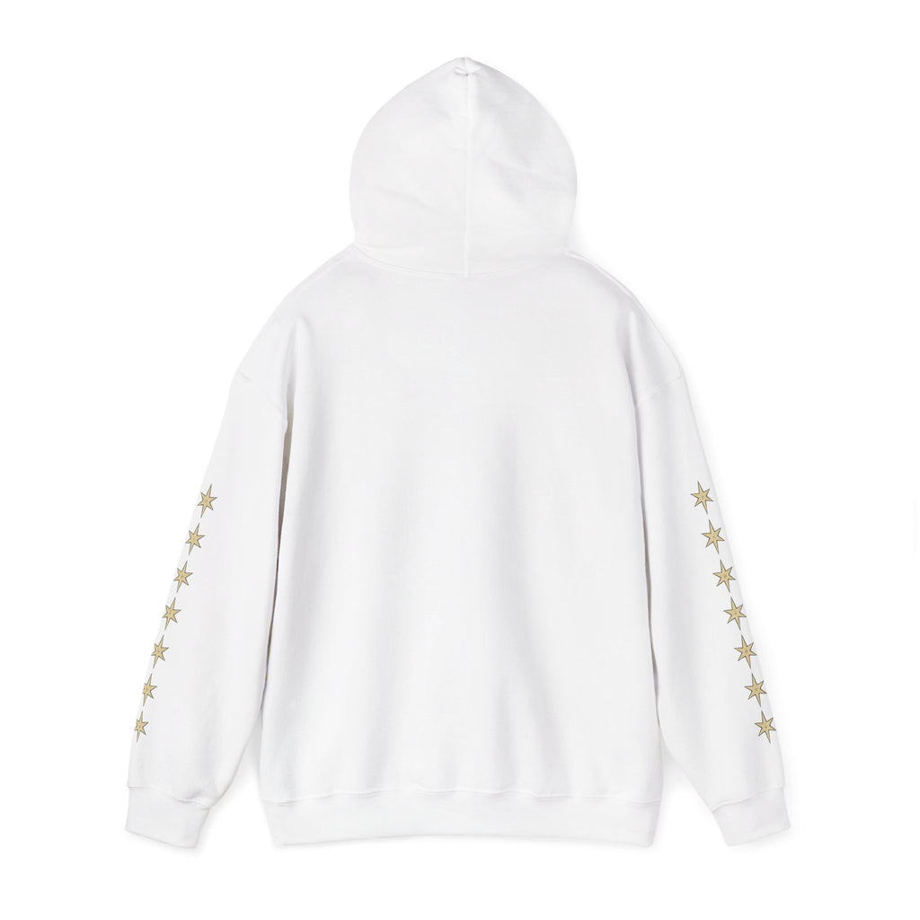 Vyorin Star Emblem Hoodie — Retro Sci‑Fi Logo Pullover