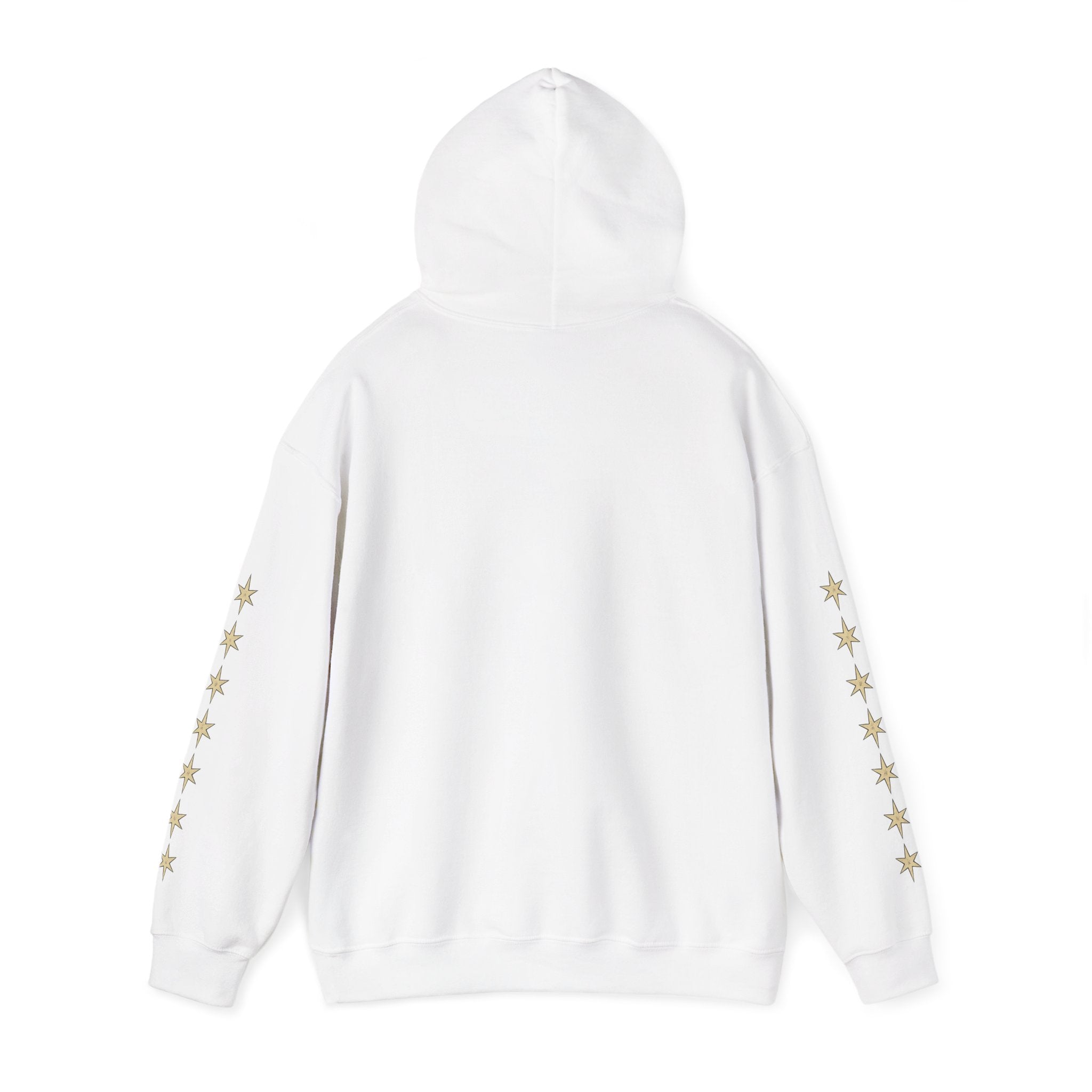 Vyorin Star Emblem Hoodie — Retro Sci‑Fi Logo Pullover