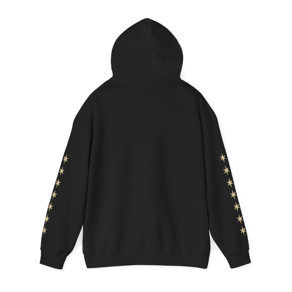 Vyorin Star Emblem Hoodie — Retro Sci‑Fi Logo Pullover