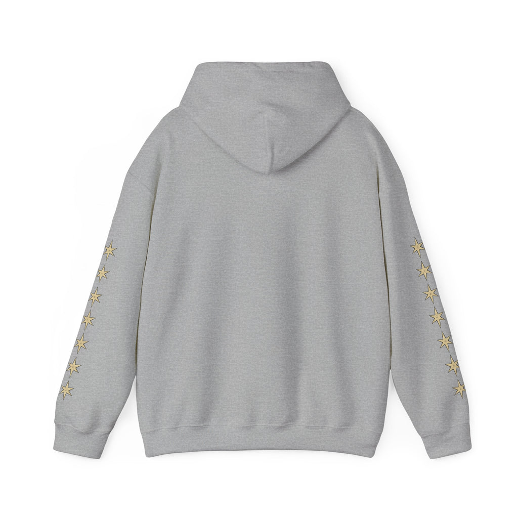 Vyorin Star Emblem Hoodie — Retro Sci‑Fi Logo Pullover