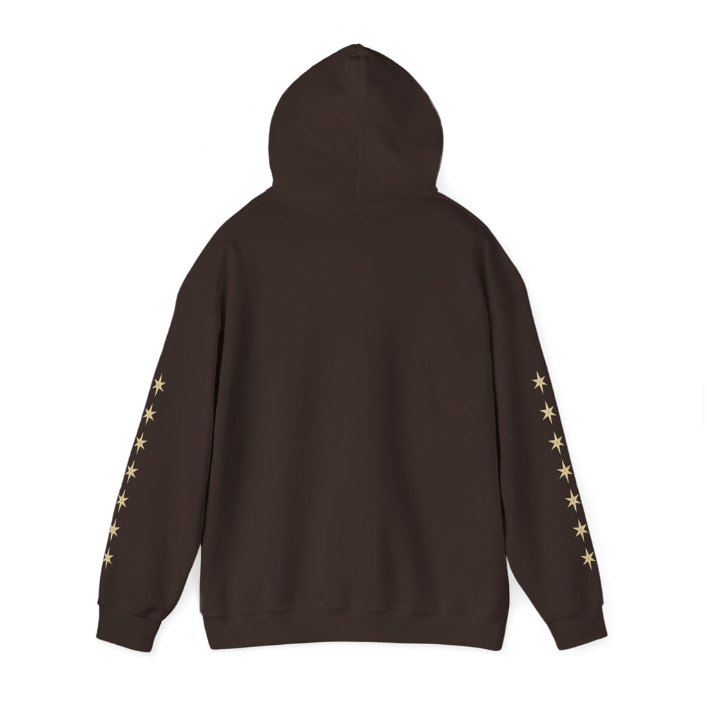 Vyorin Star Emblem Hoodie — Retro Sci‑Fi Logo Pullover