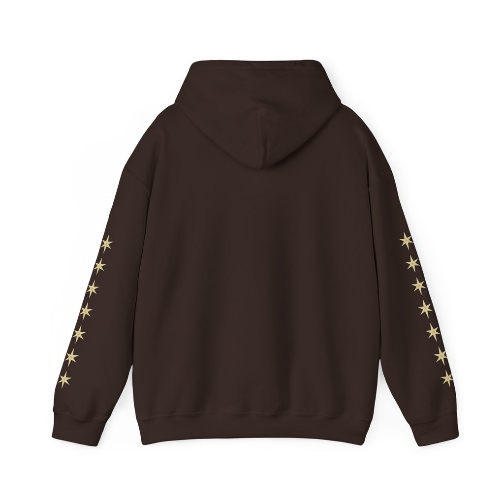 Vyorin Star Emblem Hoodie — Retro Sci‑Fi Logo Pullover