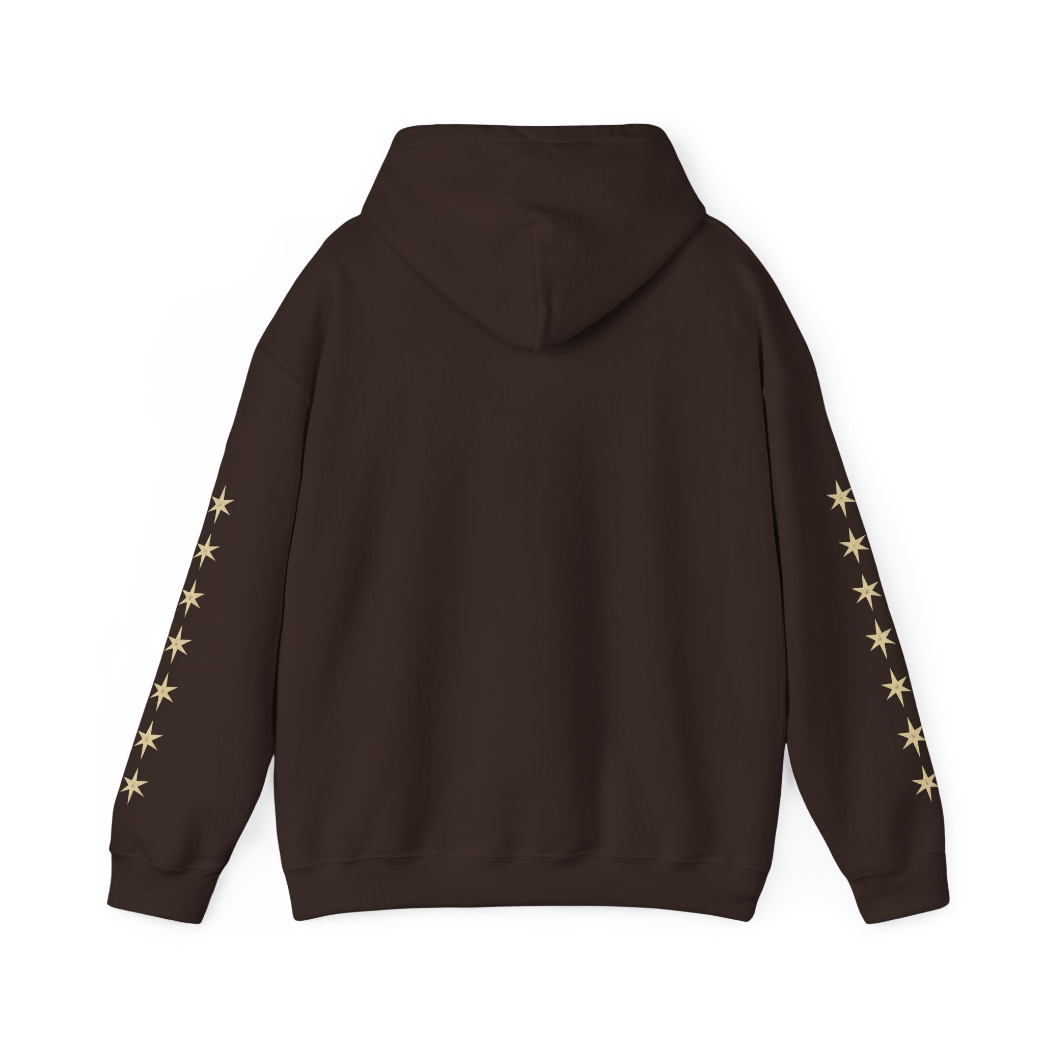 Vyorin Star Emblem Hoodie — Retro Sci‑Fi Logo Pullover