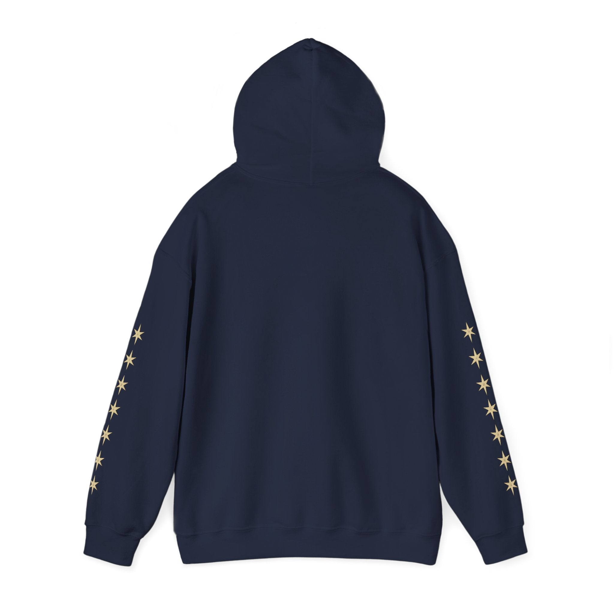 Vyorin Star Emblem Hoodie — Retro Sci‑Fi Logo Pullover