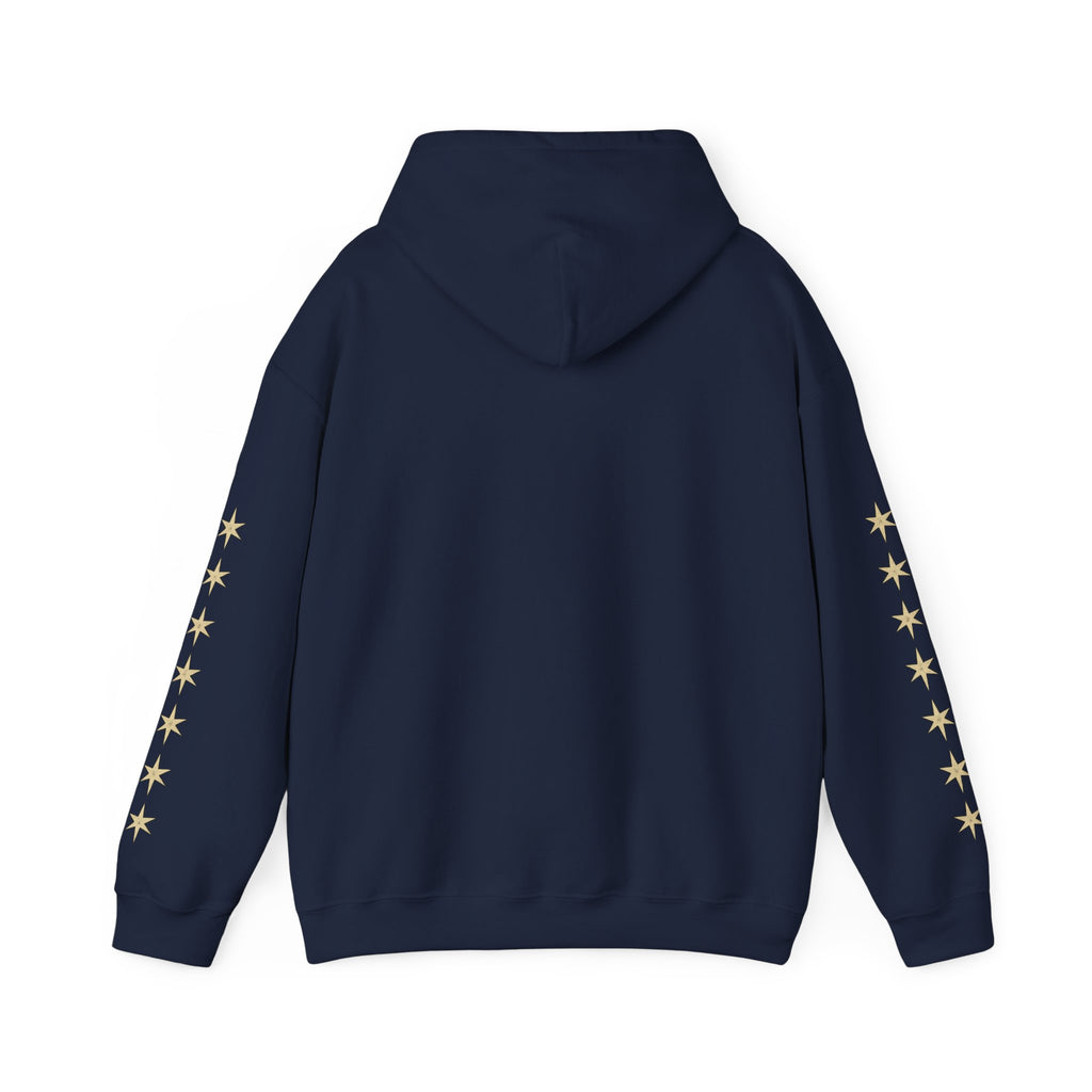 Vyorin Star Emblem Hoodie — Retro Sci‑Fi Logo Pullover