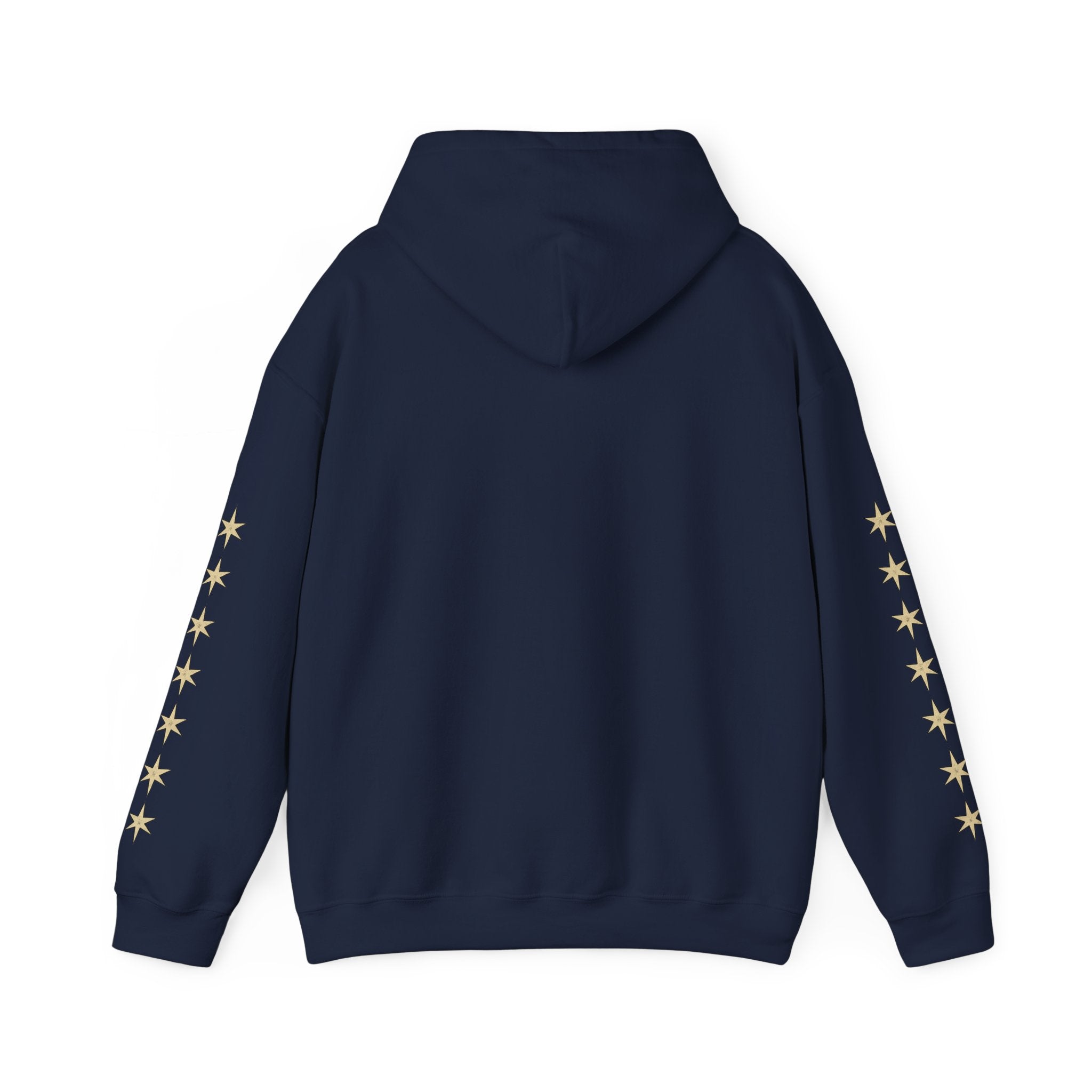 Vyorin Star Emblem Hoodie — Retro Sci‑Fi Logo Pullover