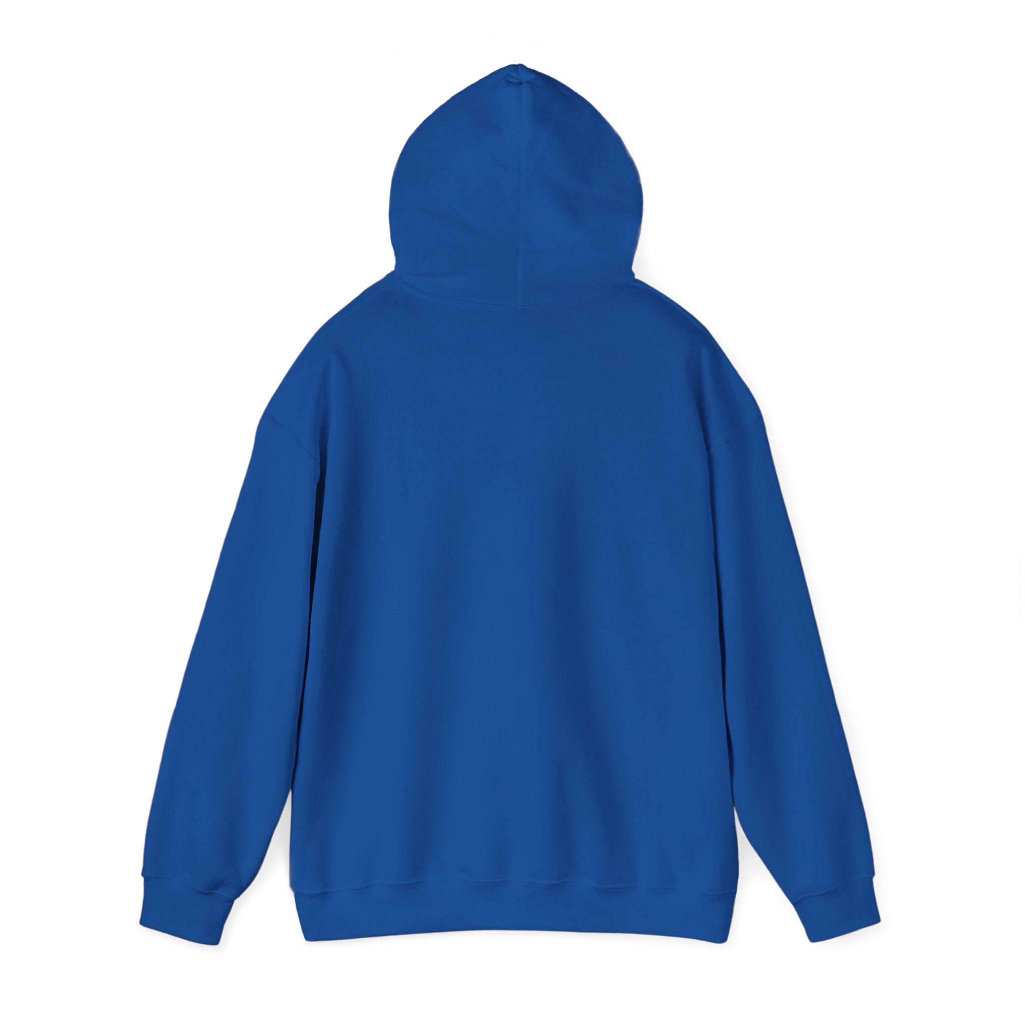 Vyorn Leopard Arch Hoodie — Vintage Animal Print Logo Sweatshirt