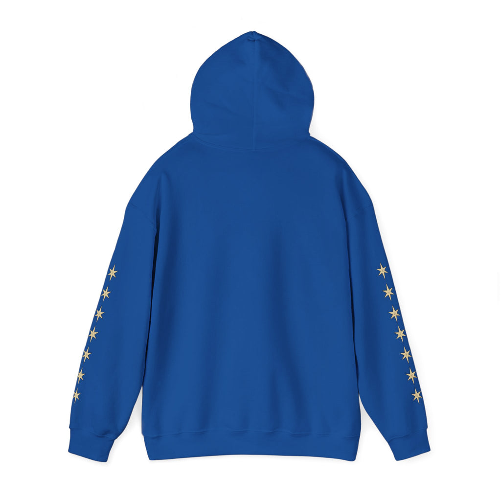 Vyorin Star Emblem Hoodie — Retro Sci‑Fi Logo Pullover