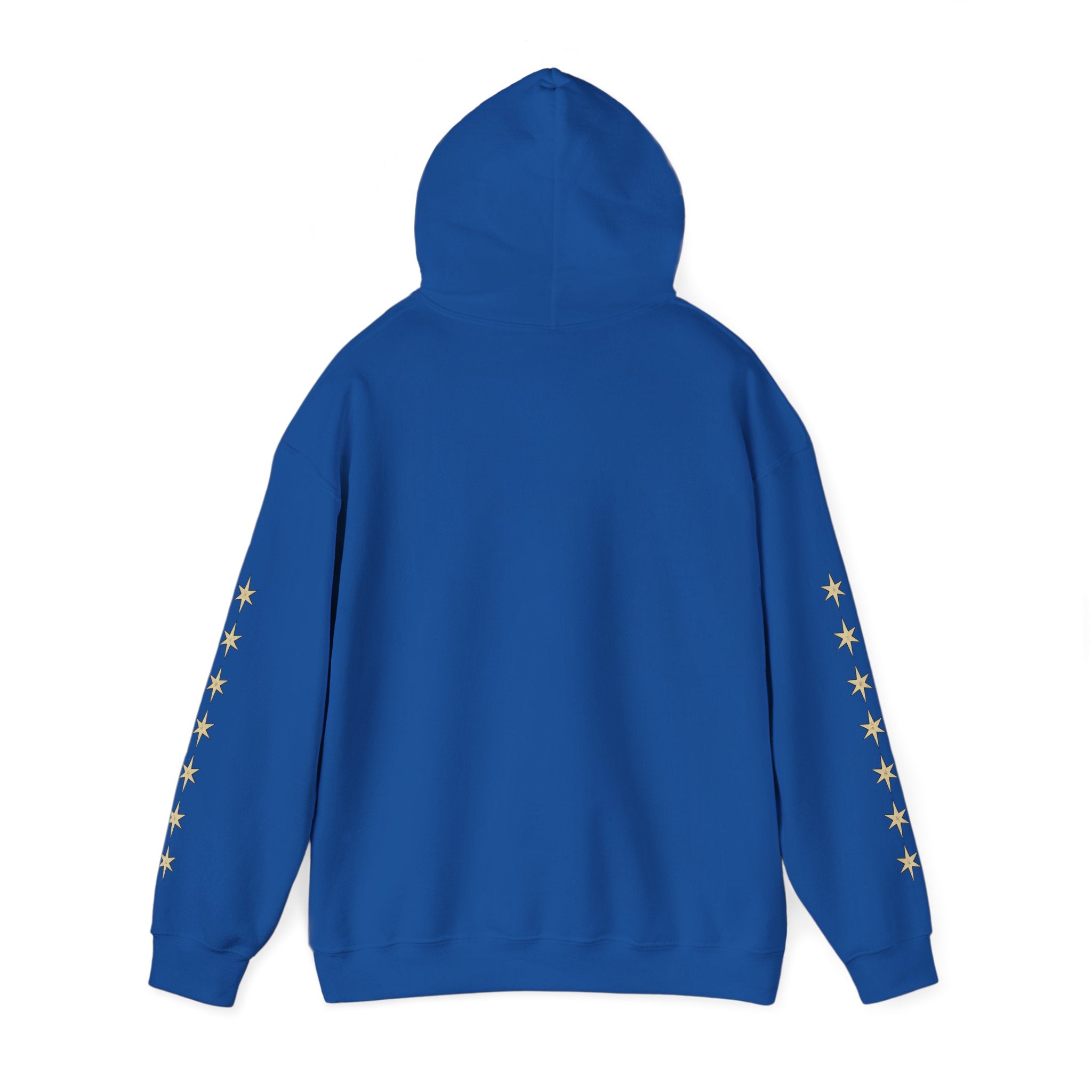 Vyorin Star Emblem Hoodie — Retro Sci‑Fi Logo Pullover