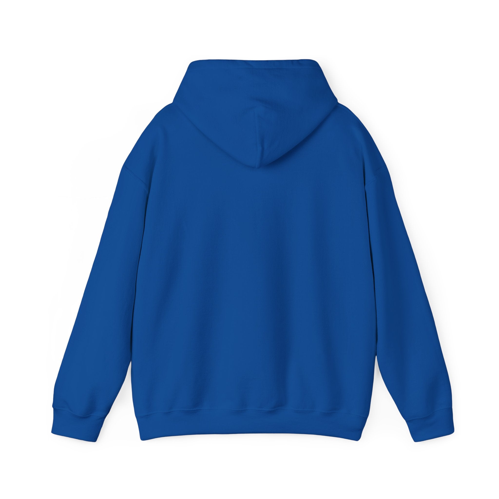Vyorn Leopard Arch Hoodie — Vintage Animal Print Logo Sweatshirt